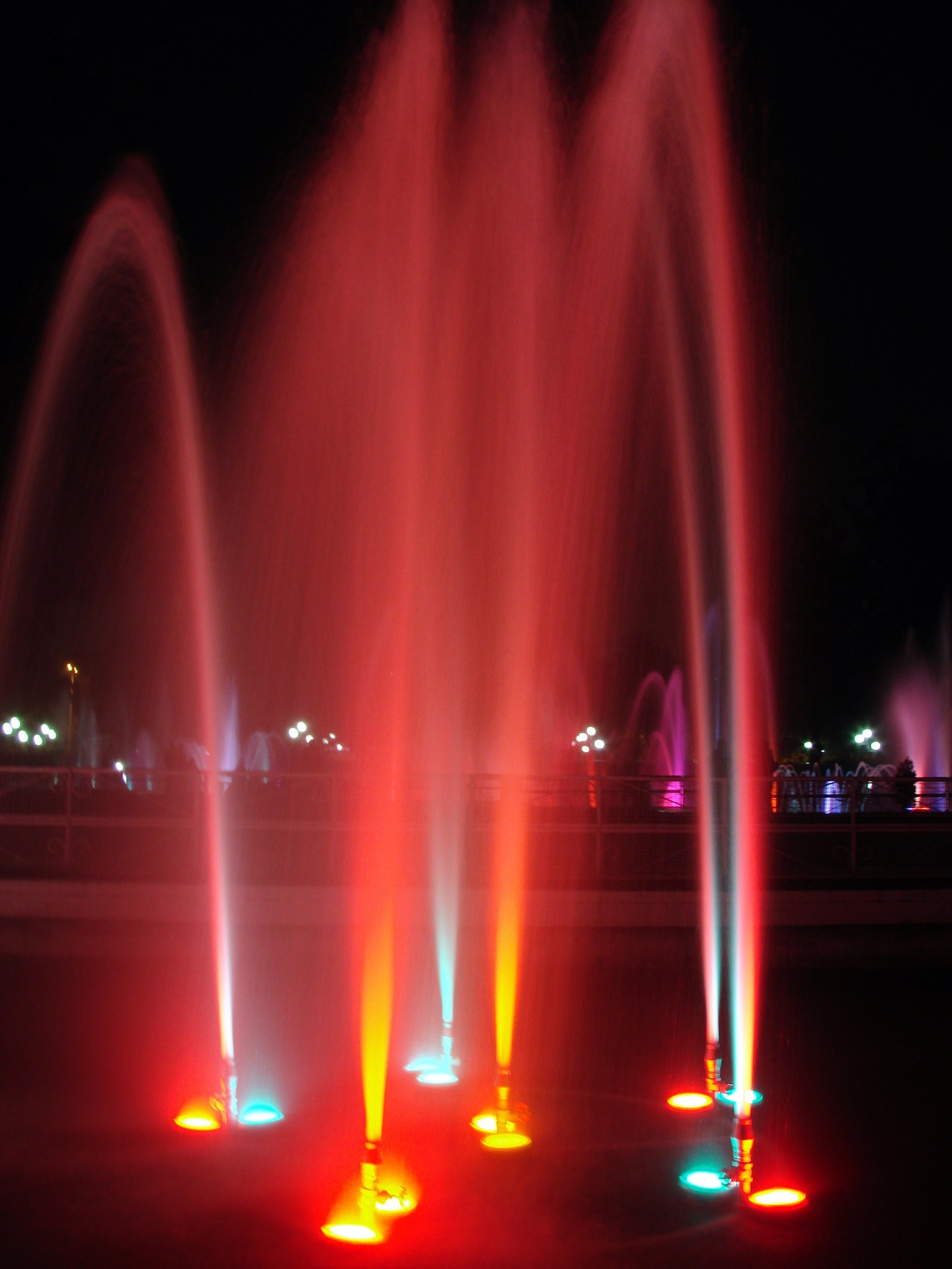 Water Fountain Rose Garden cover